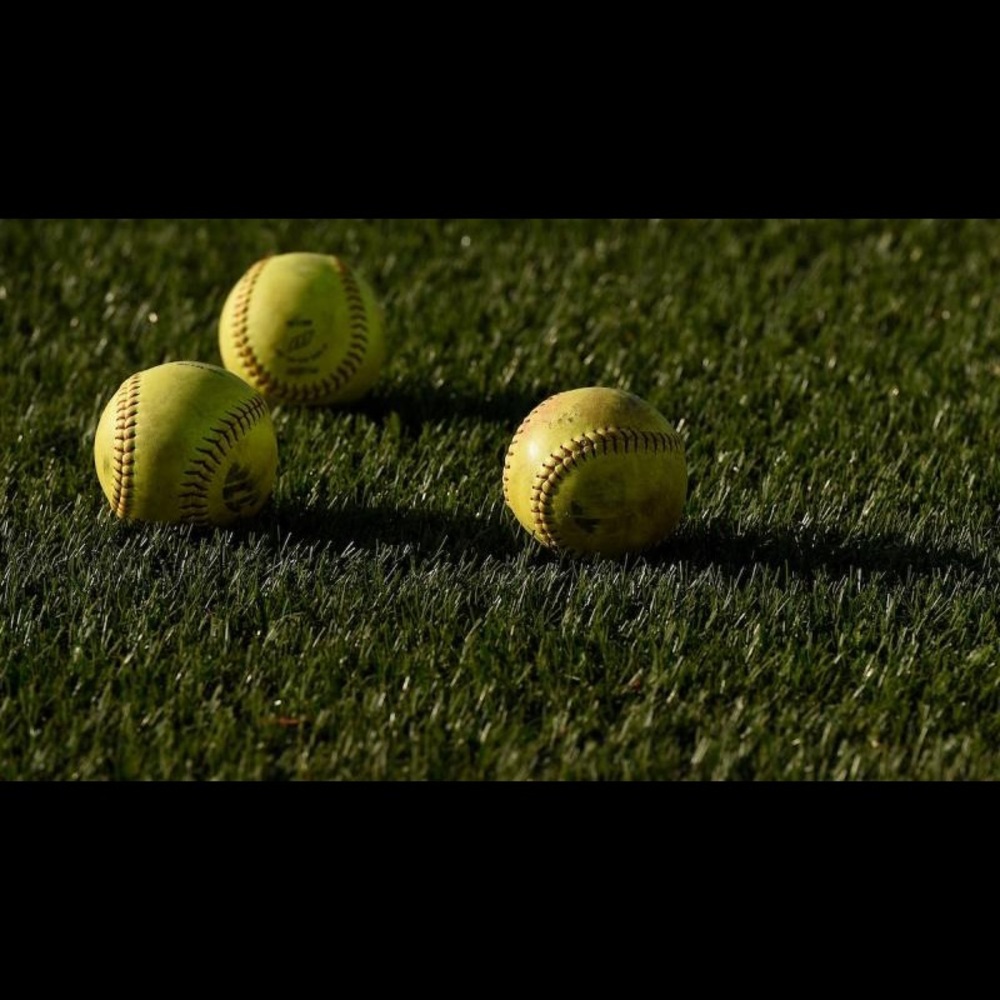 Meet your Posher, Carter